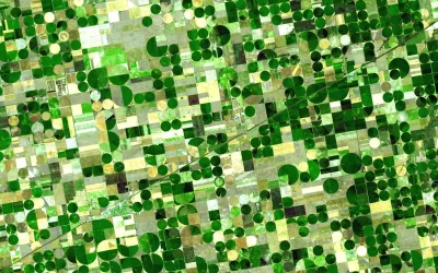 Field Boundaries for Agriculture Mid-point Progress Report